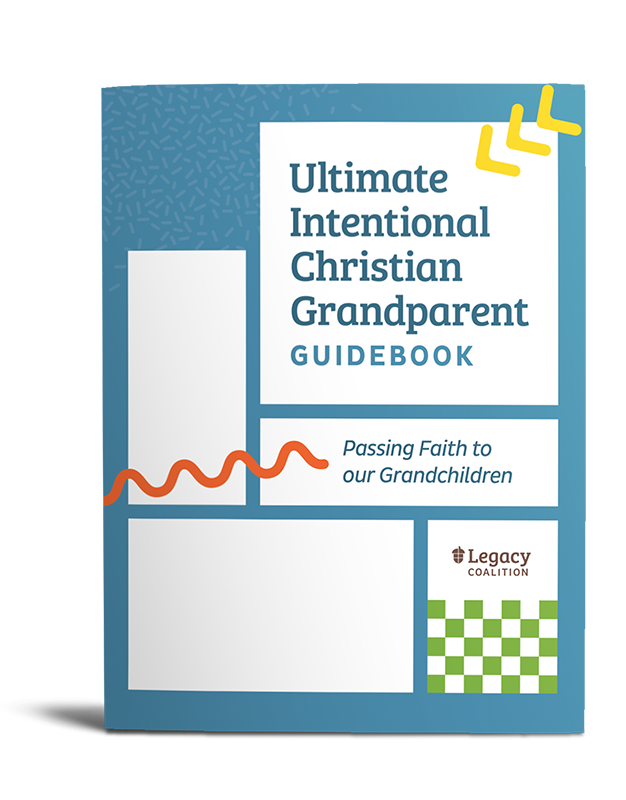 Ultimate Guidebook