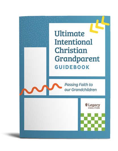 Ultimate Guidebook